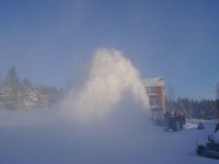 080309-2.jpg