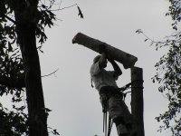 PB290025.JPG