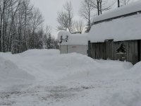 IMG_0170 [800x600].JPG
