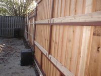 DSC04515 (Medium).JPG