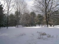 WinterSnow 010.jpg