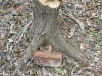 S4020799.JPG