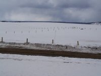 4-21-08 snow (600 x 450).jpg