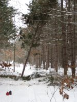 IMG_0059_1.jpg