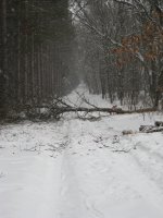 IMG_0050_1.jpg
