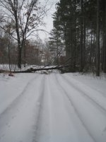 IMG_0055_1.jpg