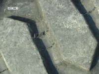 left tire 2-2.JPG