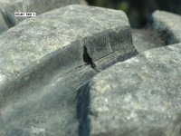 right tire 1-1.JPG