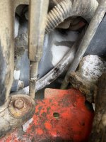IMG_4316.jpeg