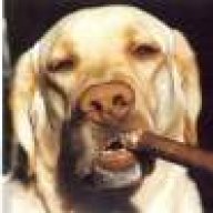 gromit