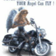 mrider