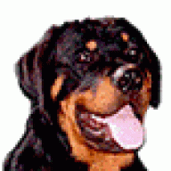 Rottweiler