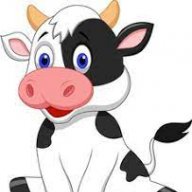 Babymoo