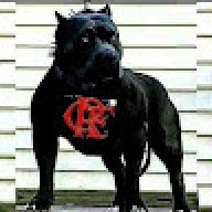 kennetht