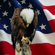 BIGCHIEFW4
