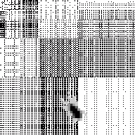 skywaterbanjo