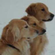 AU_K9s