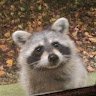 Jason in WV