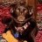 dog-sanctuary-guy