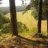 dirtbikekid1090